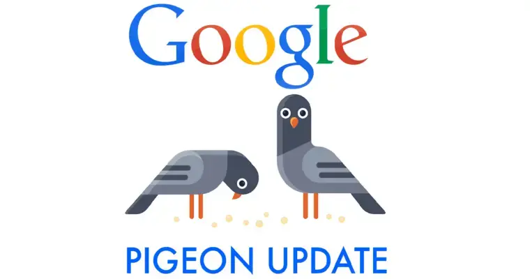 آشنایی با الگوریتم‌های گوگل | الگوریتم کبوتر (Pigeon)