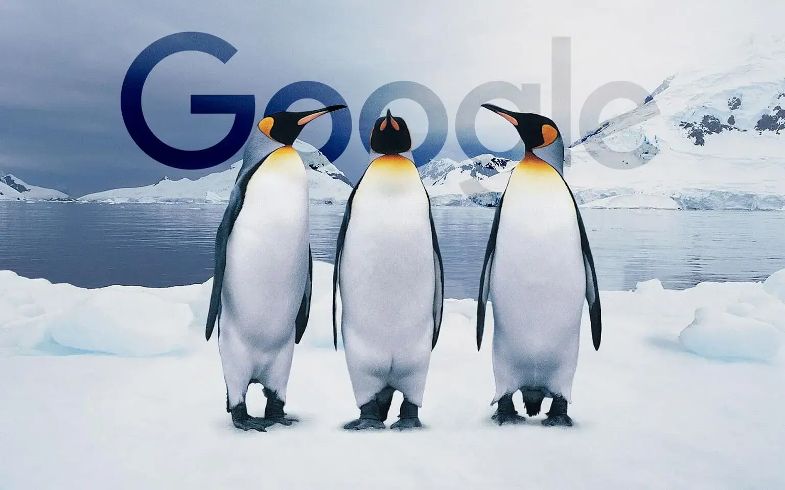 معرفی الگوریتم پنگوئن (Penguin Algorithm) | آخرین نسخه معرفی شده الگوریتم پنگوئن 2016