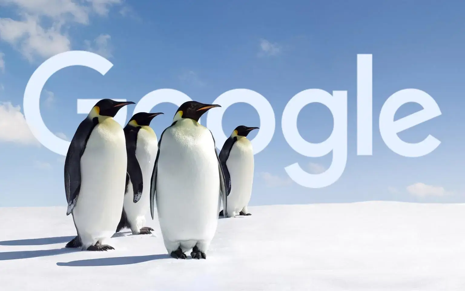 معرفی الگوریتم پنگوئن (Penguin Algorithm) | وظایف و دستورالعمل کار