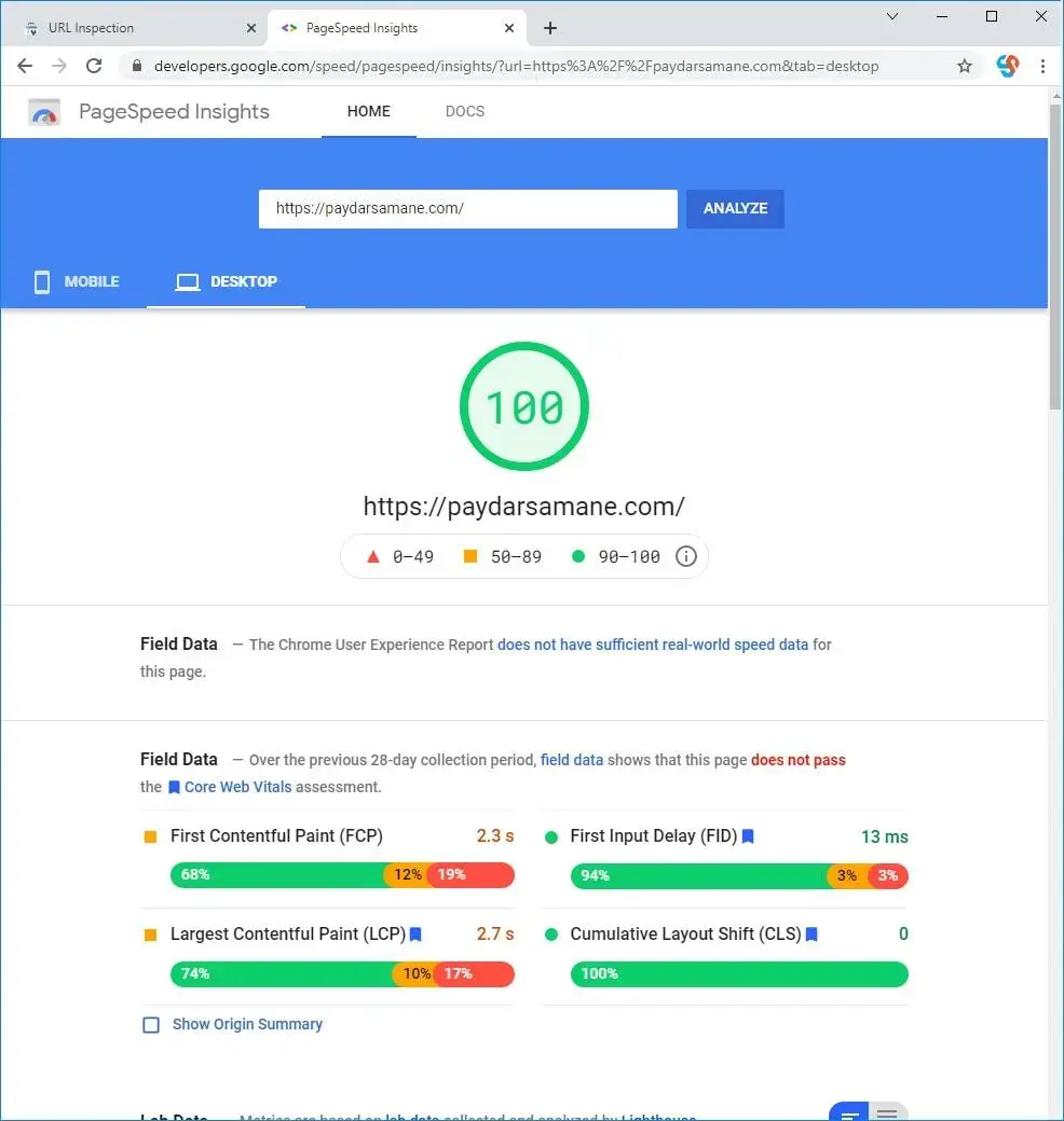 نمونه نتیجه تست سرعت وب سایت از Page Speed